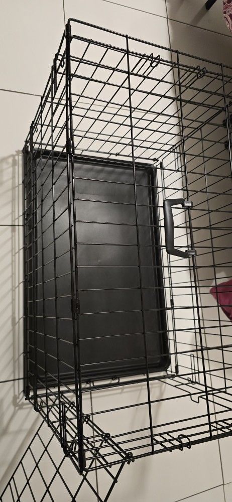 Dog Crate, I Crate