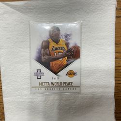 Meta World Piece Panini Innovation #d 5/10