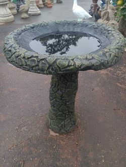 Bird Bath