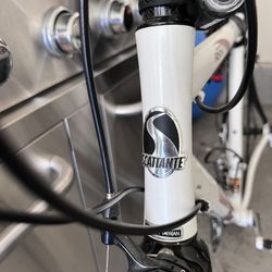 Sccatante Bicycle 