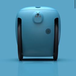 gita's Plus Electric Cargo  Robot 