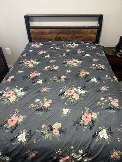 Lucky Brand Queen Comforter and Pillows