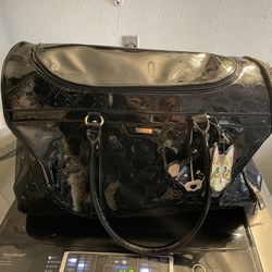 Fancy Cute Aldo Brand Pet Dog Or Cat Carrier