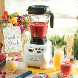 VIDA SANA Profesional Blender - Smoothies & Juice