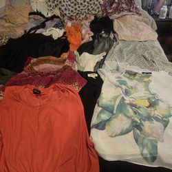 Huge Lot Womans Size 14/16  Clothing 