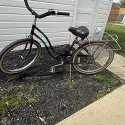 Schwinn Cruiser