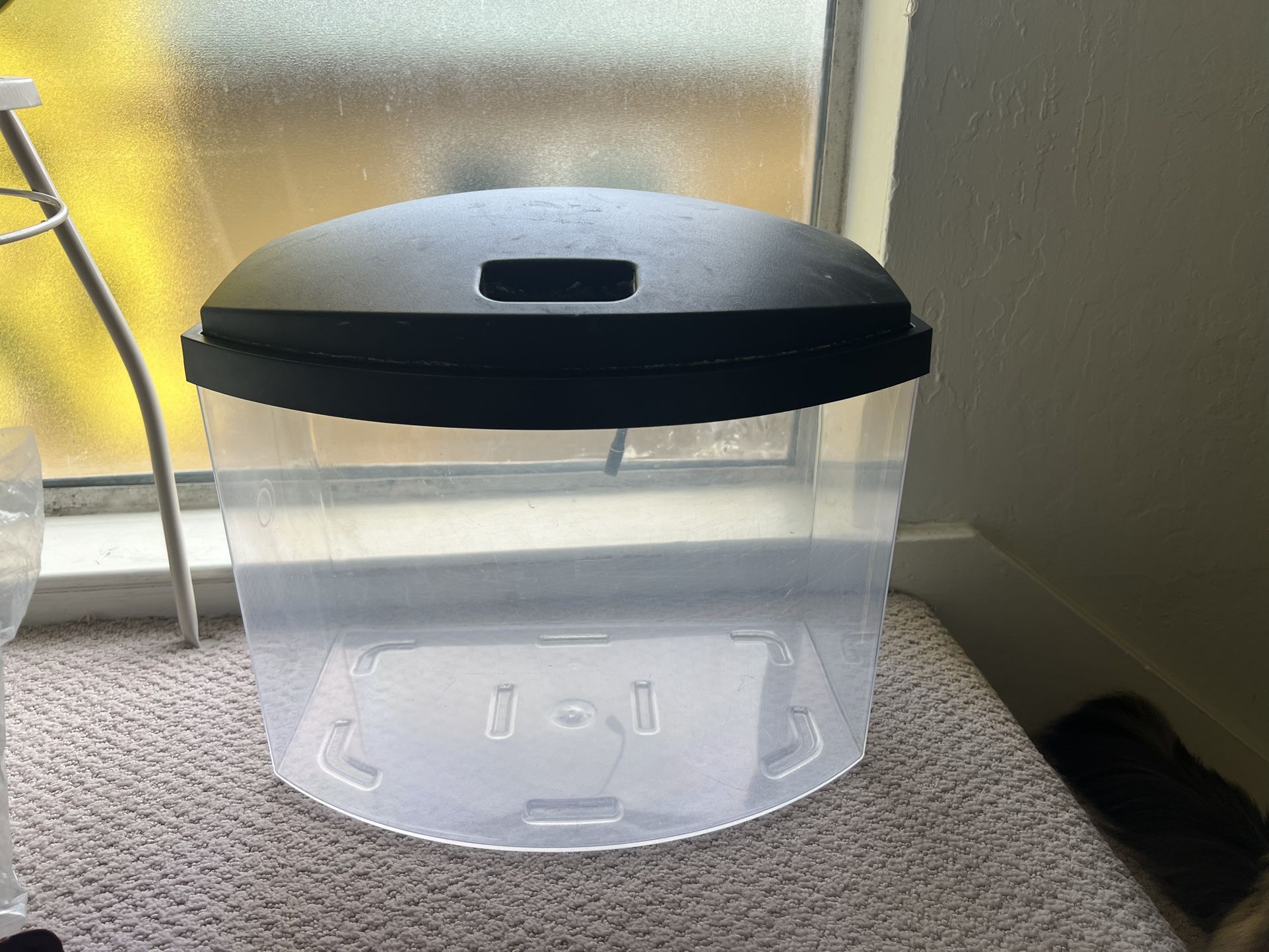 5 Gallon Fish Tank And Supplies