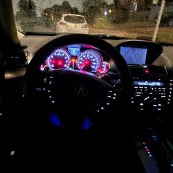 Taxi, staff or companion, money is money. 