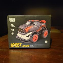 Angry Stunt Car Remote Control Car