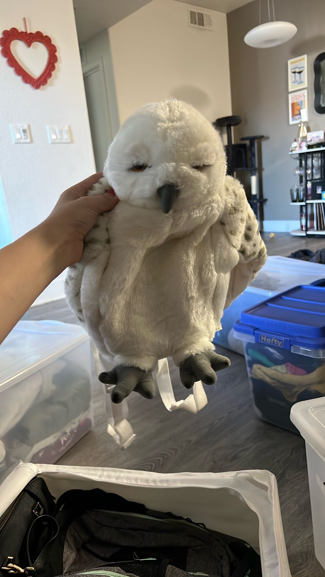 Harry Potter Hedwig Back Pack