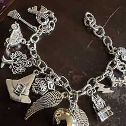 Stainless Steel Charms, Bracelet