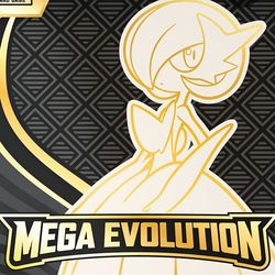 MEGA EVOLUTIONS