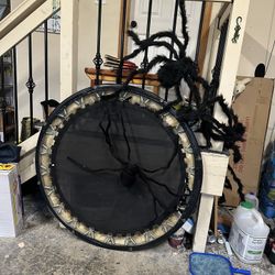 Trampoline With Or Without Spiders