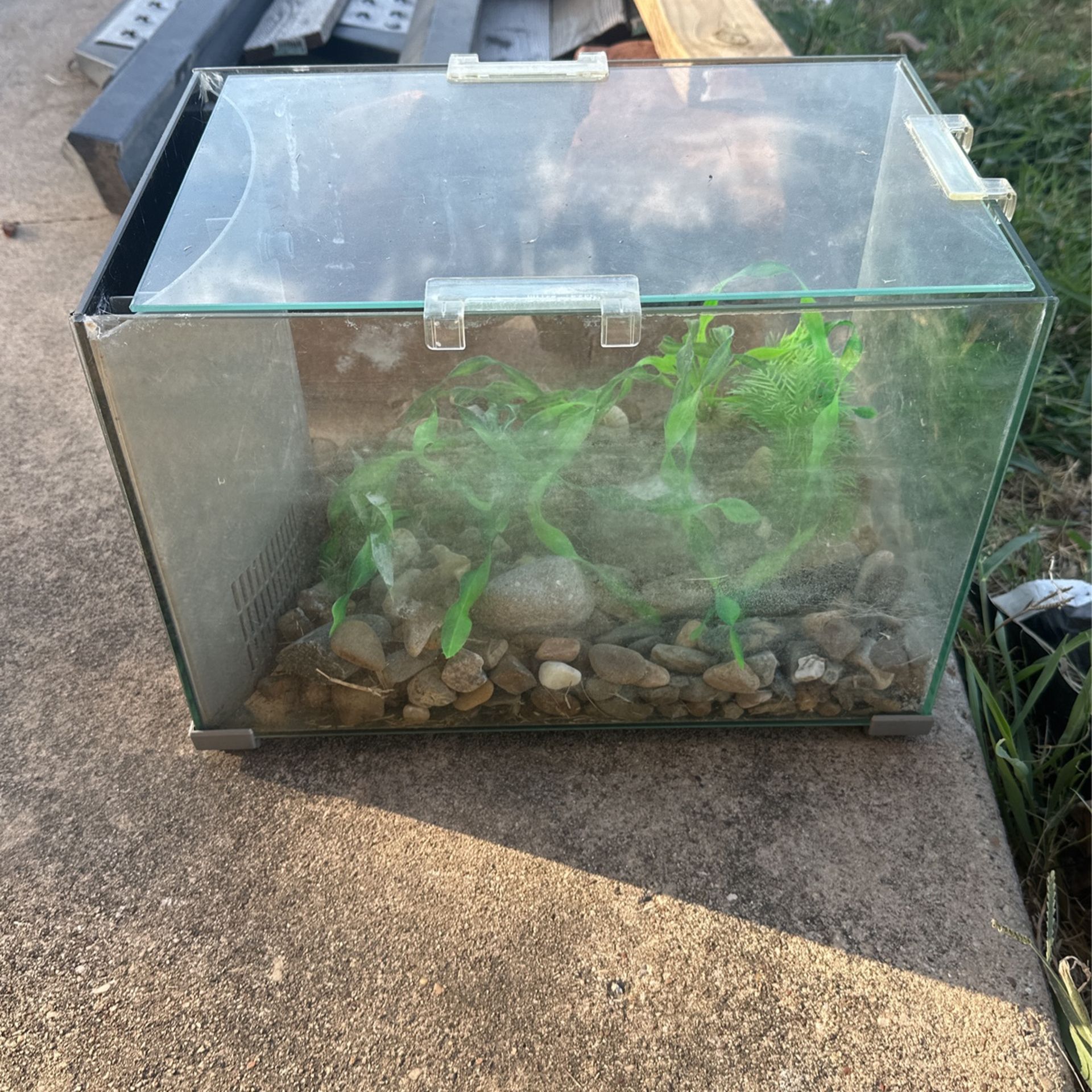 Fish Tank 5 gallon