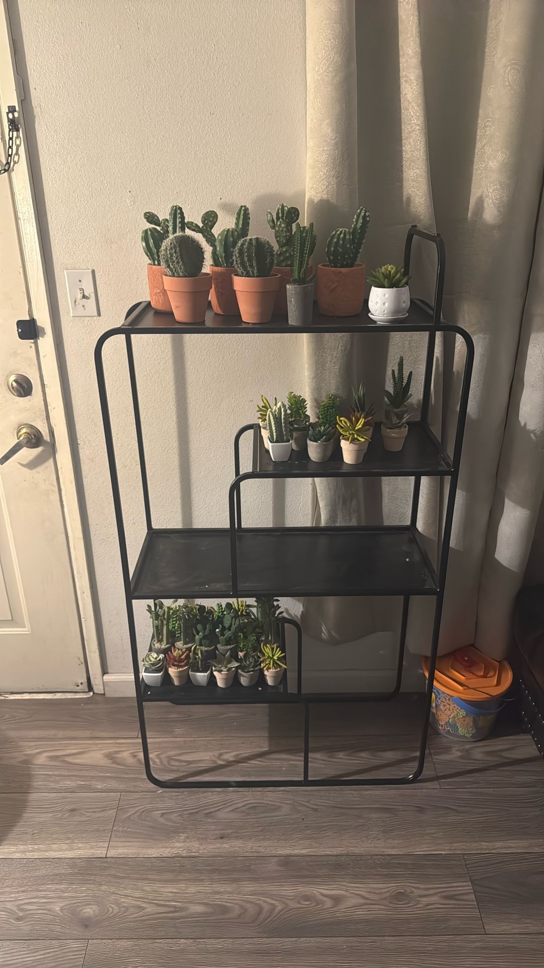 Stand With Mink Fake Succulents