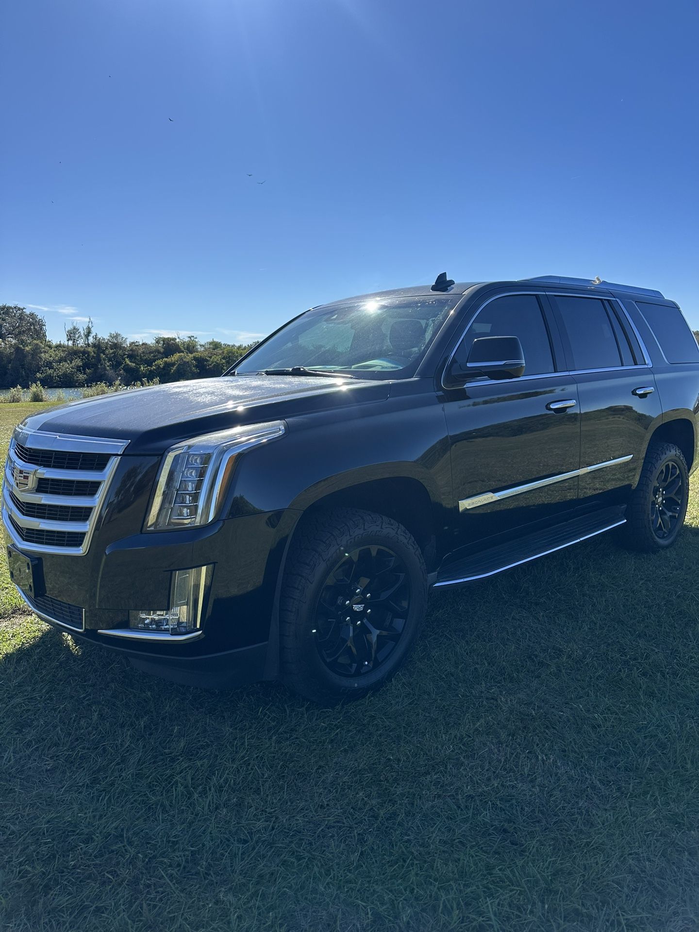 2016 Cadillac Escalade