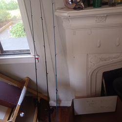 3 Fishing Poles