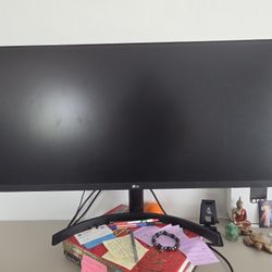 LG Gaming Monitor 