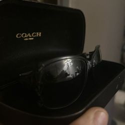 Coach Sunglasses