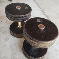 60 Pound Dumbbells 