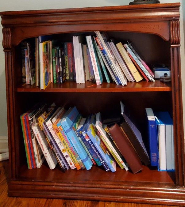 Book Case With Two Shelves
