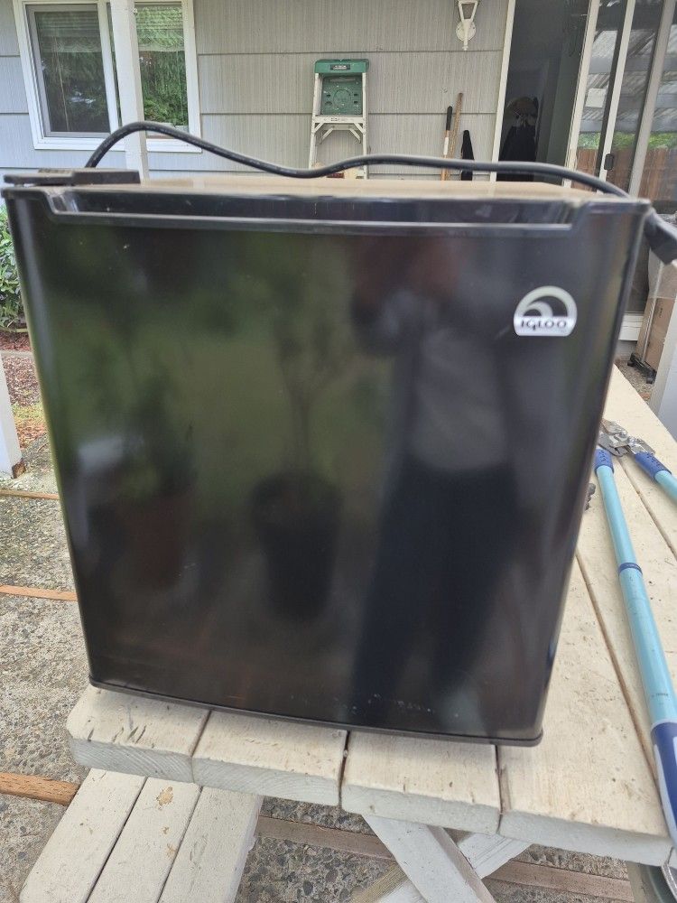 Igloo Mini Fridge