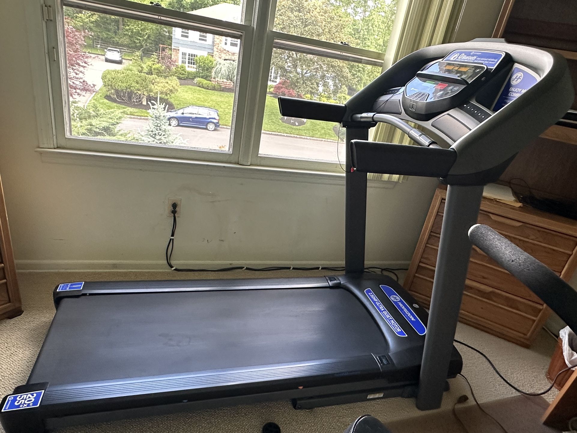 Horizon Treadmill