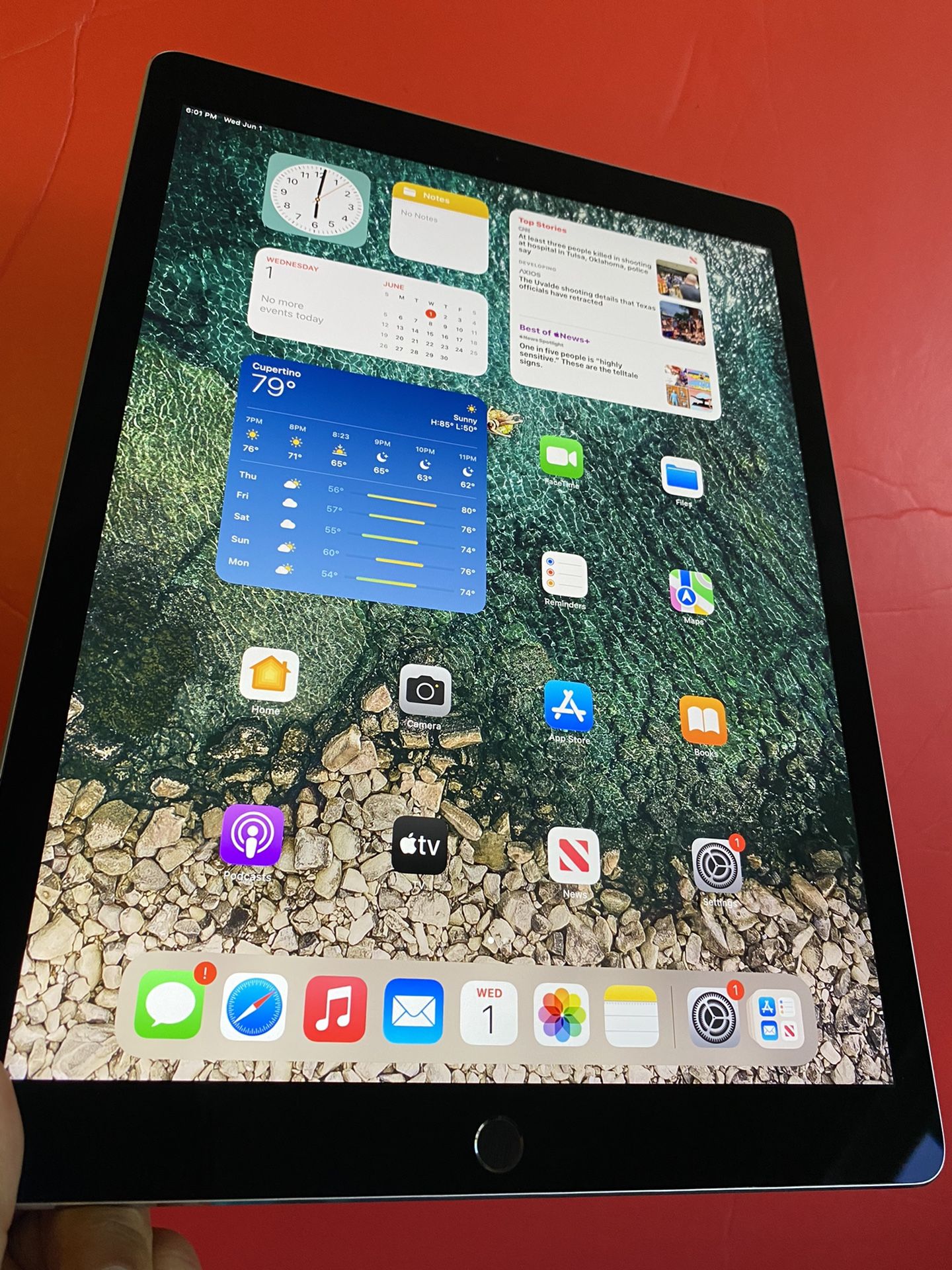 256GB Apple IPad Pro (2nd 2017 Model/ Latest iOS 15