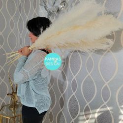 Big Dried Pampas Grass | 3 Stems Large Fluffy 3.5ft - 4ft tall Pampas Grass | Dried Flower Arrangement