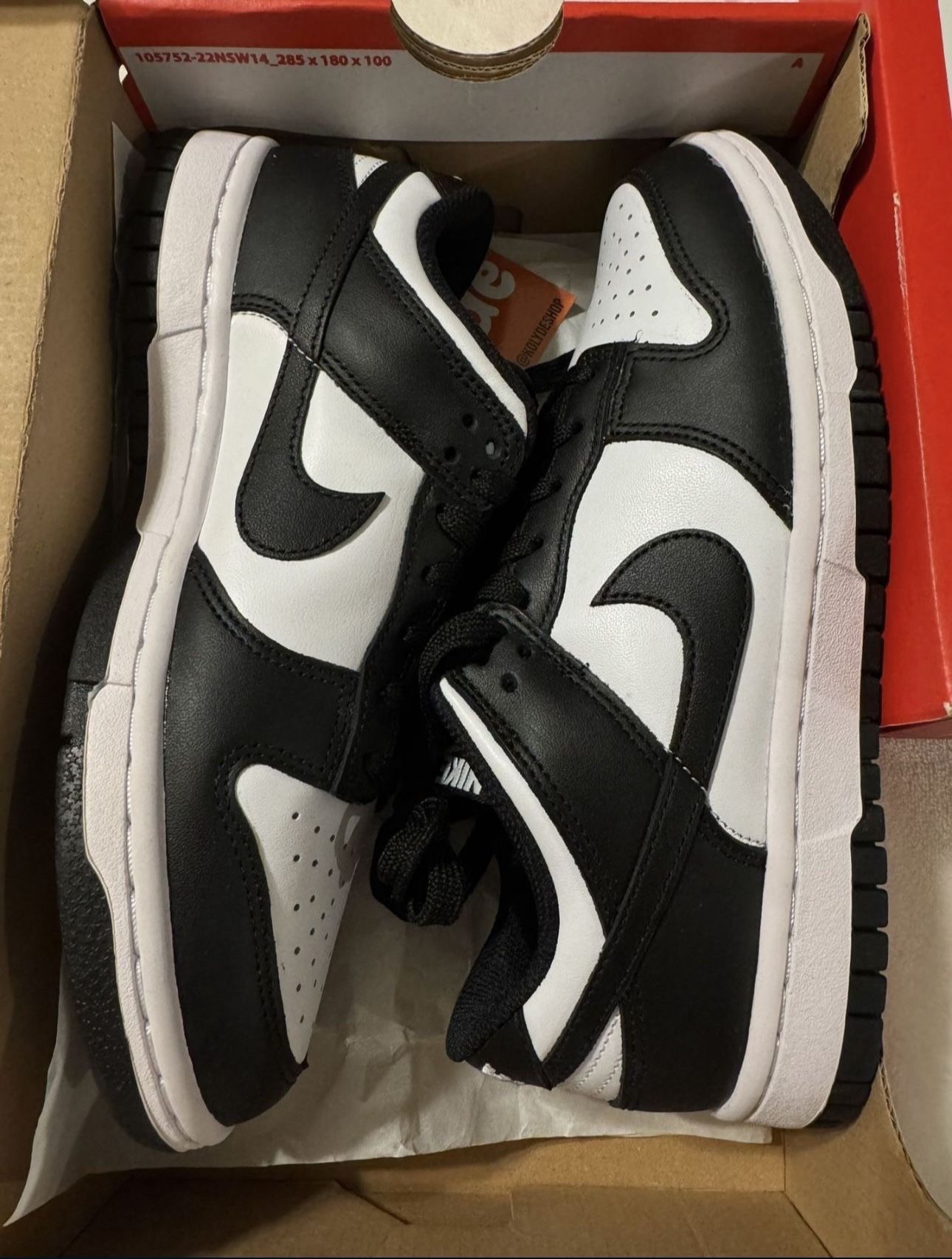 Nike Women’s Dunk Low Shoes