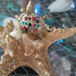 Handcrafted Real Starfish 