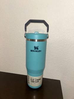 Stanley straw tumbler new