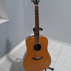 Parkwood Accoustic Guitar