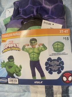 Hulk Costume