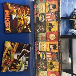 Vintage Styled DC/MutantTurtles Posters