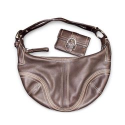 Coach hobo w/ matching wallet