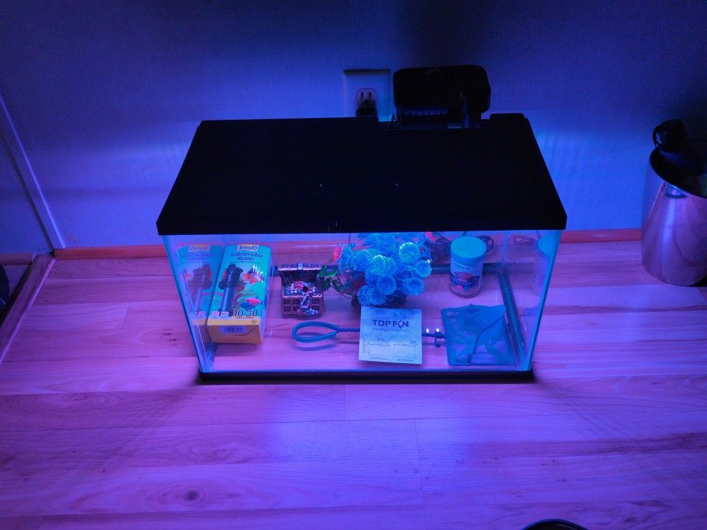 Ten Gallon Tank