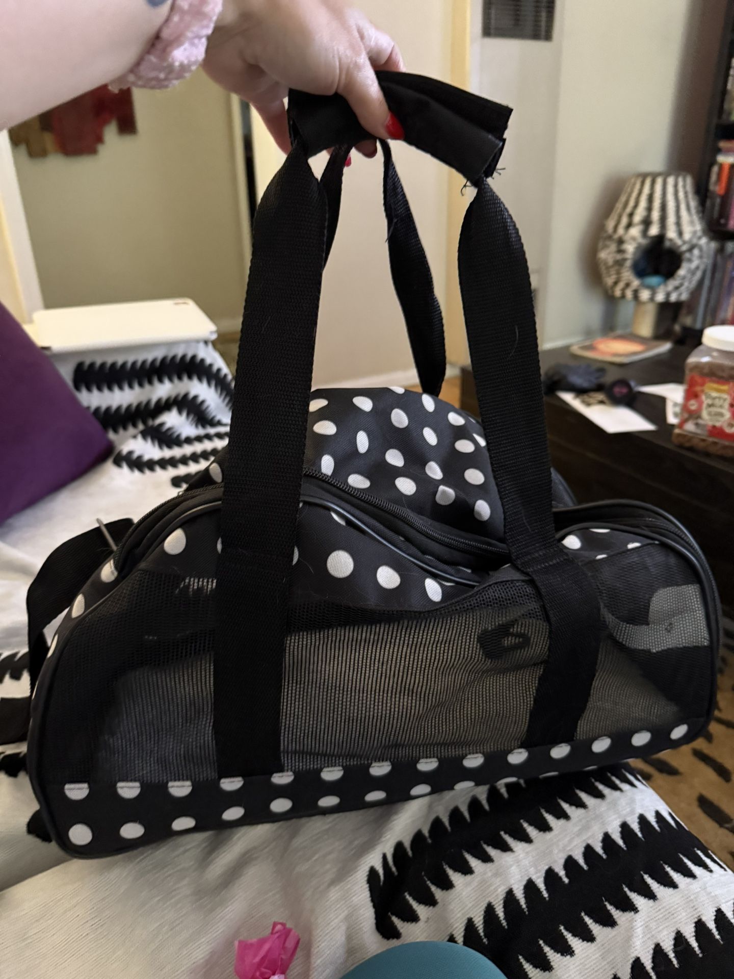 Stylish Pet Carrier