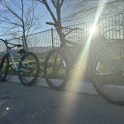 Se Big Flyer 29  450-500 Or Trade