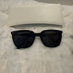 Gentle Monster Heizer Sunglasses