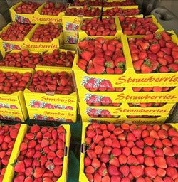 Strawberry/Fresa