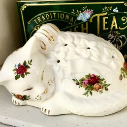 Royal Albert Kitten