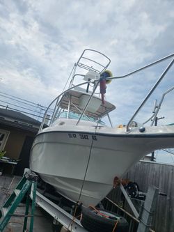 Boat Detail And Rv