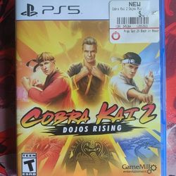Cobra Kai 2