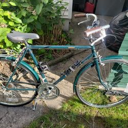 Cruiser Bike