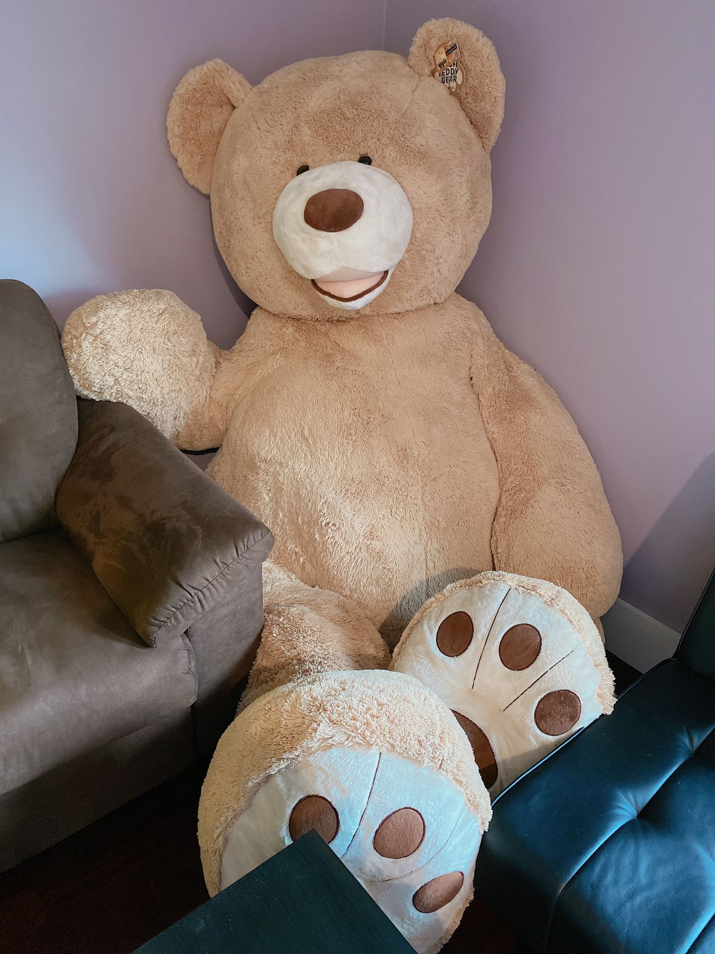 Giant Costco teddy bear