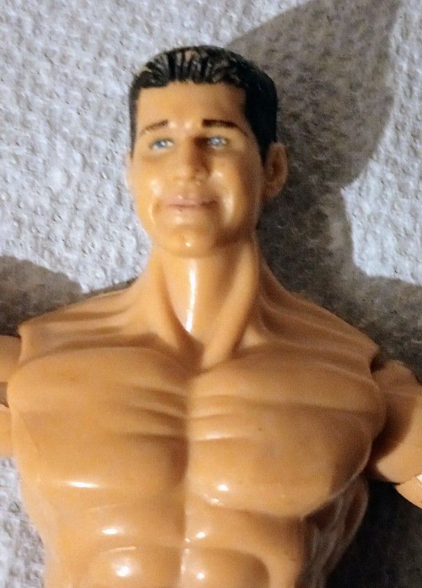 2003 WWE JAKKS PACIFIC Randy Orton Wrestling Action Figure Wrestler Collectible Vintage Sports Pro Professional