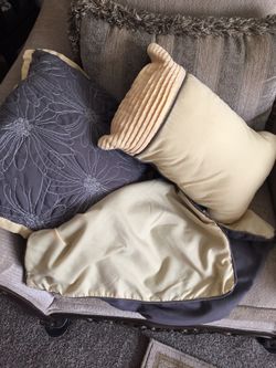 2 Accent Pillows and 2 pillow cases