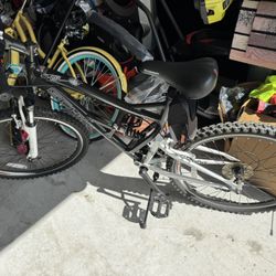 Schwinn 21 Speed Mountain Bike