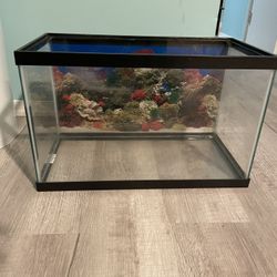 Fish Tank 